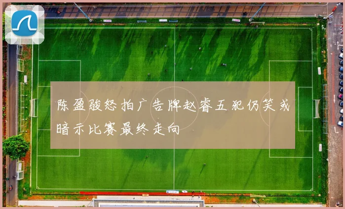 陈盈骏怒拍广告牌赵睿五犯仍笑或暗示比赛最终走向